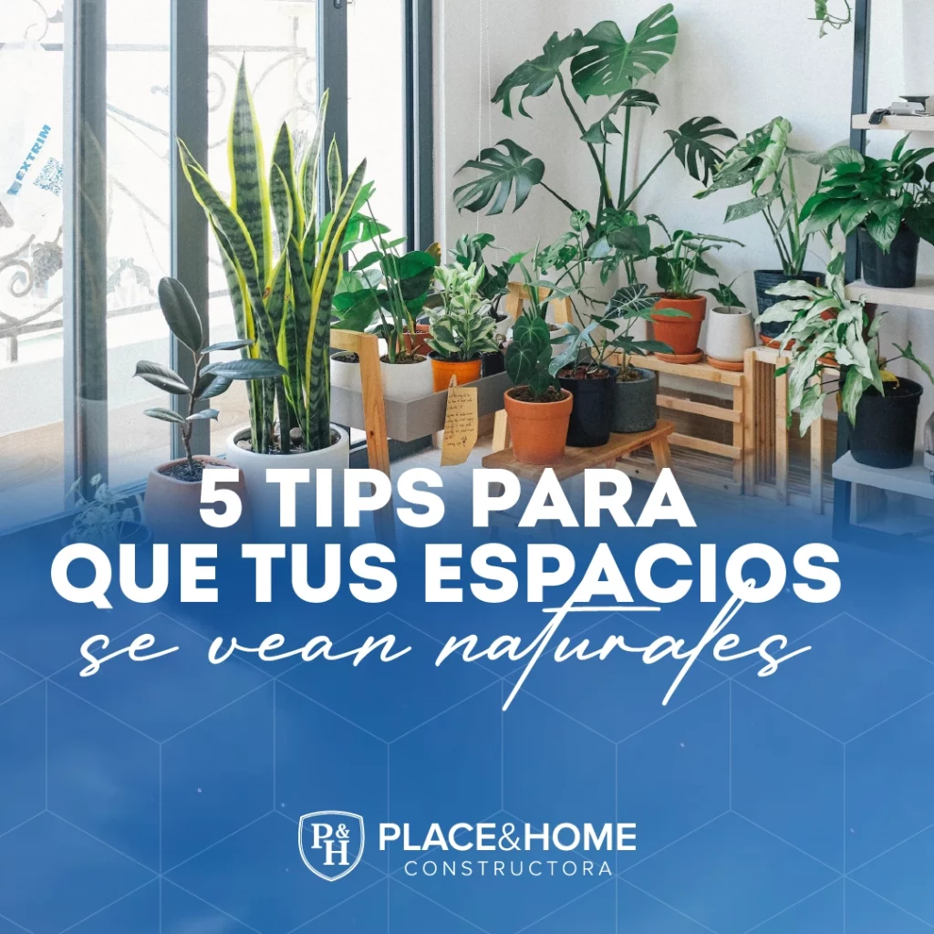 5 tips para que tus espacios se vean más naturales - Place & Home